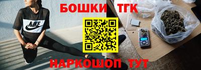 мдпв Камышлов