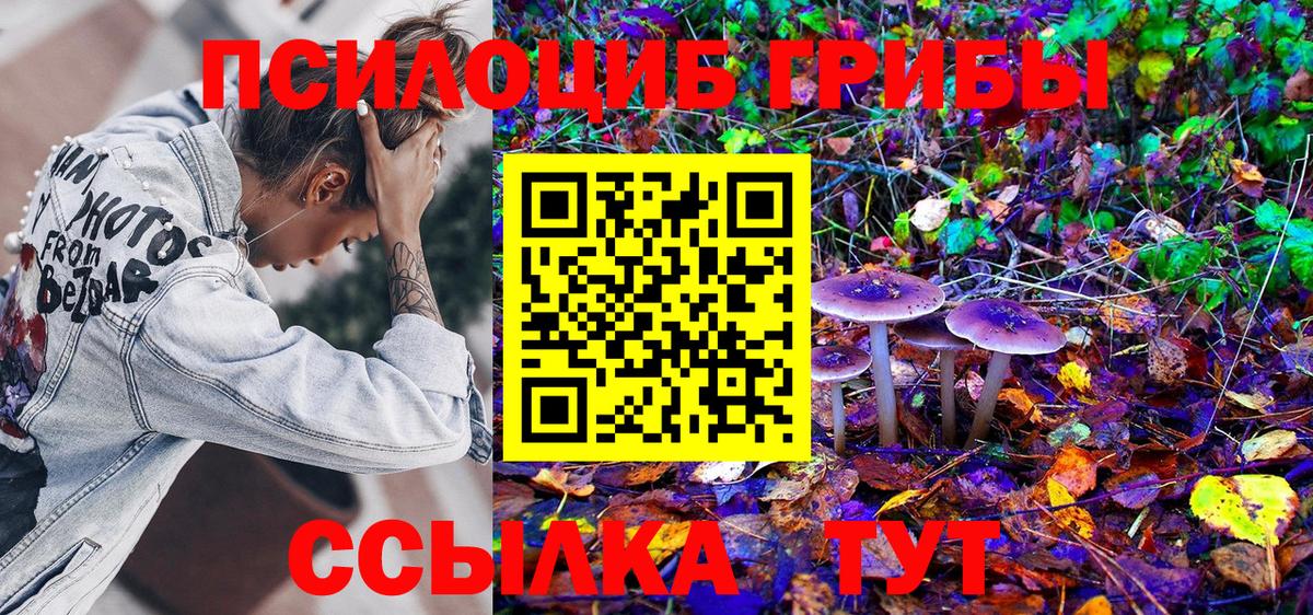 Королёв  Псилоцибиновые грибы мицелий  Вход с VPN 
